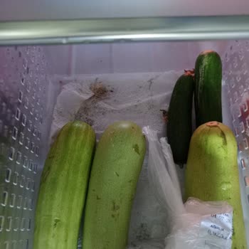 Sürekli Arızalı Buzdolabı İçin Değişim Talebi