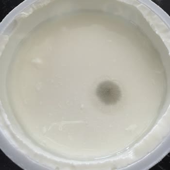 Tekrarlanan Bozuk Sek Quark Ürünleri Ve Telafi Talebi