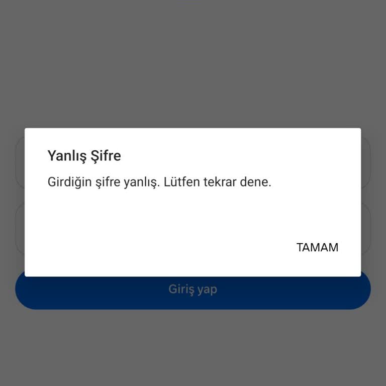 Instagram Hesabımla Threads’e Bağlanamama Ve Giriş Hatası