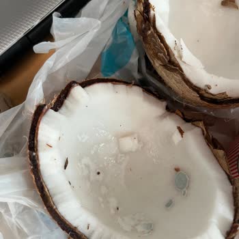 Migros’ta Satın Alınan Hindistan Cevizi Açıldığında Küflü Çıktı Sağlık Endişesi Ve İade İsteği