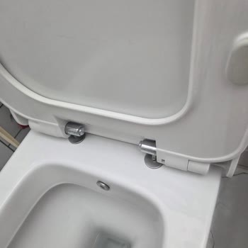 Klozet Kapağındaki Vida Yedek Parça Olmadan Değiştirilemiyor