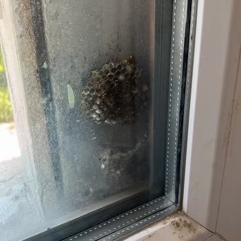 Bodrum Golden Beach Otelinde Hijyen Sorunları Ve Hizmet Eksikliği Nedeniyle İade Talebi