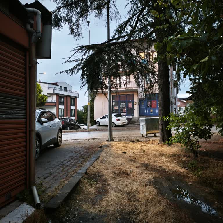Araç Girişinde Engelleyen Sokak Lambası Ve Direğin Yeniden Konumlandırılması Talebi
