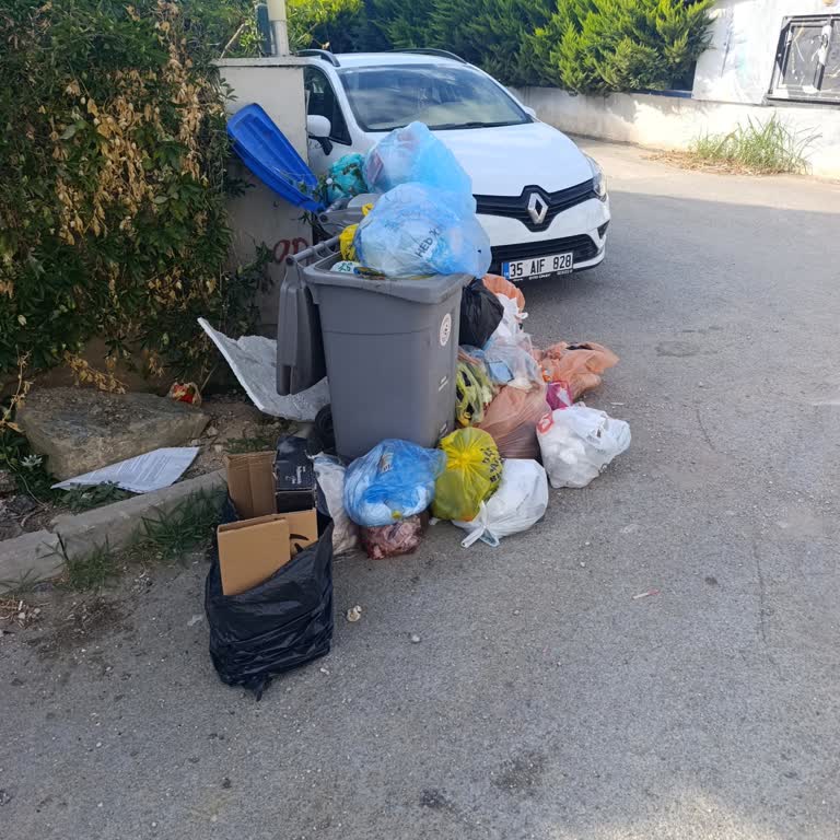 Bortaçina Apart Erdek'in Çöpleri Yüzünden Ciddi Koku, Sinek ve Hijyen Sorunu Yaşıyorum