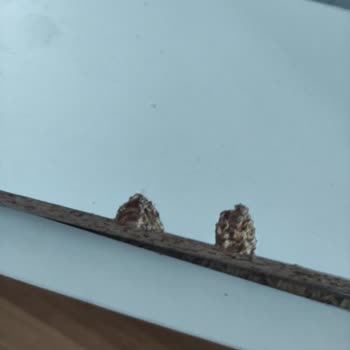 Kusurlu Komodin Ve İade Sürecindeki Uzun Gecikme