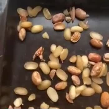 Egeden Kadın Dayanışması Barbunyanın Yaş Olarak Naylon Torbada Gelmesi!