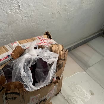 Sürat Kargo İle Kırık Deterjan Kutusu Ve Kirli Teslimat