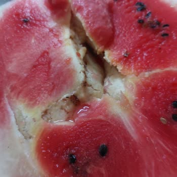 Onyaka Market'ten Karpuzda Şüpheli Kitle