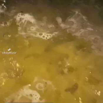 BİM Pasta Veneta Böcekli Makarna Çıktı