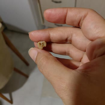 Satın Alınan Dondurulmuş Kokoreçte Hayvan Dışkısı Tespit Edildi