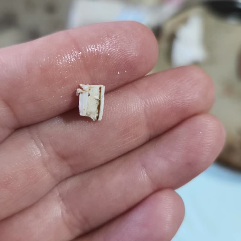 BİM Avcılar Şubesinde Lezzethane Pizza’da Plastik Parça Bulunması