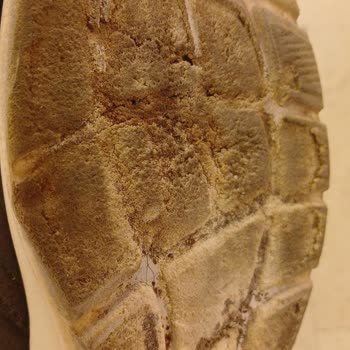 Skechers Ayakkabısının Tabanı Erken Deforme, Üretim Hatası Şikayeti