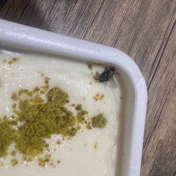 Karaköprü Şubesinde Dondurmanın İçinde Sinek Bulunması
