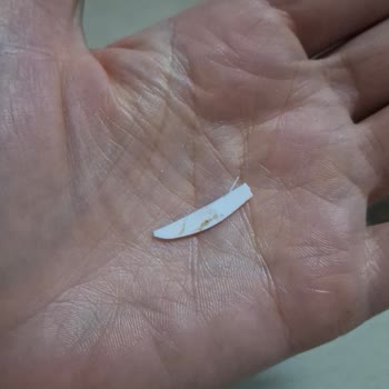 Doğal Yeşil Fırın Şubesinde Dondurmanın İçinde Plastik Parça Çıktı