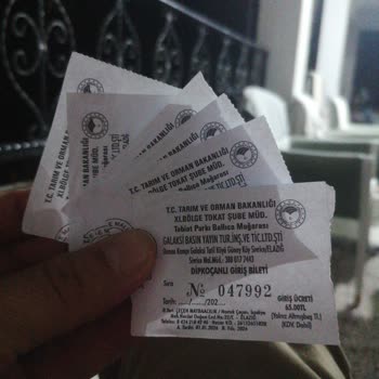Tarım Ve Orman Bakanlığı Çocuklar İçin Ücretsiz Ya Da İndirimli Bilet Uygulaması Olmaması