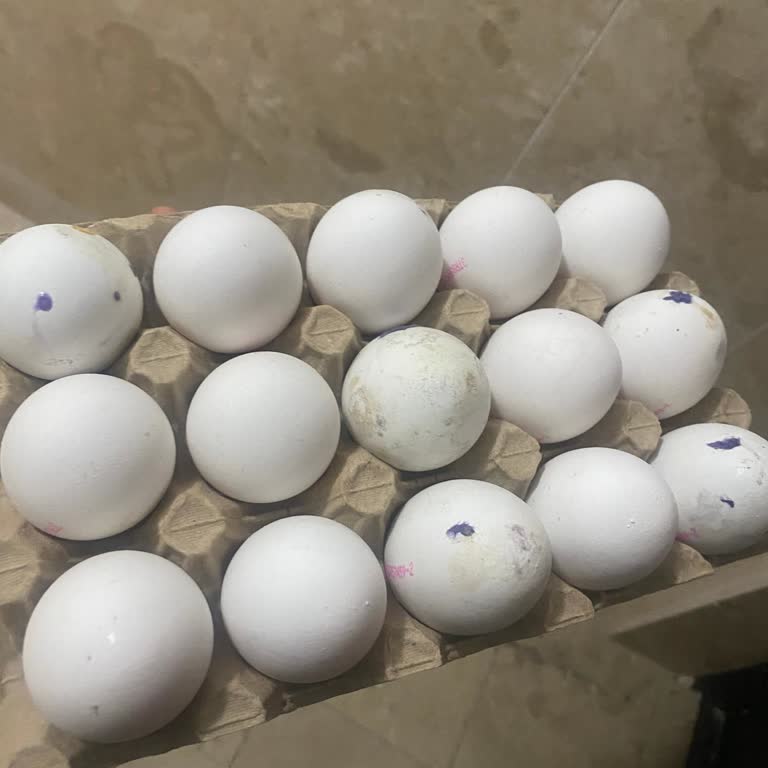 Bozulmuş Yumurta Nedeniyle Mağduriyet Ve İade Talebi