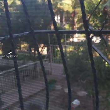 Karabağlar Belediyesi Park Bakımı Saatleri