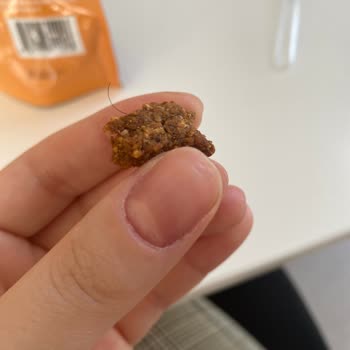 Seed'n Grains Hem Hijyen Açısından Hem De Sağlık Açısından Beni Ciddi Şekilde Rahatsız Etti
