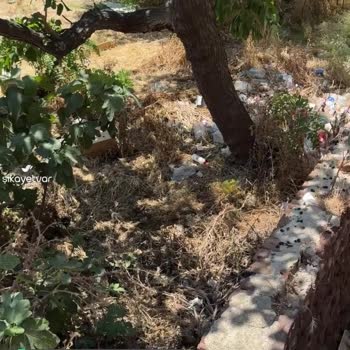 Erdek Muhtarhasan Dağlı Sokak, Belediyenin Unuttuğu Sokak