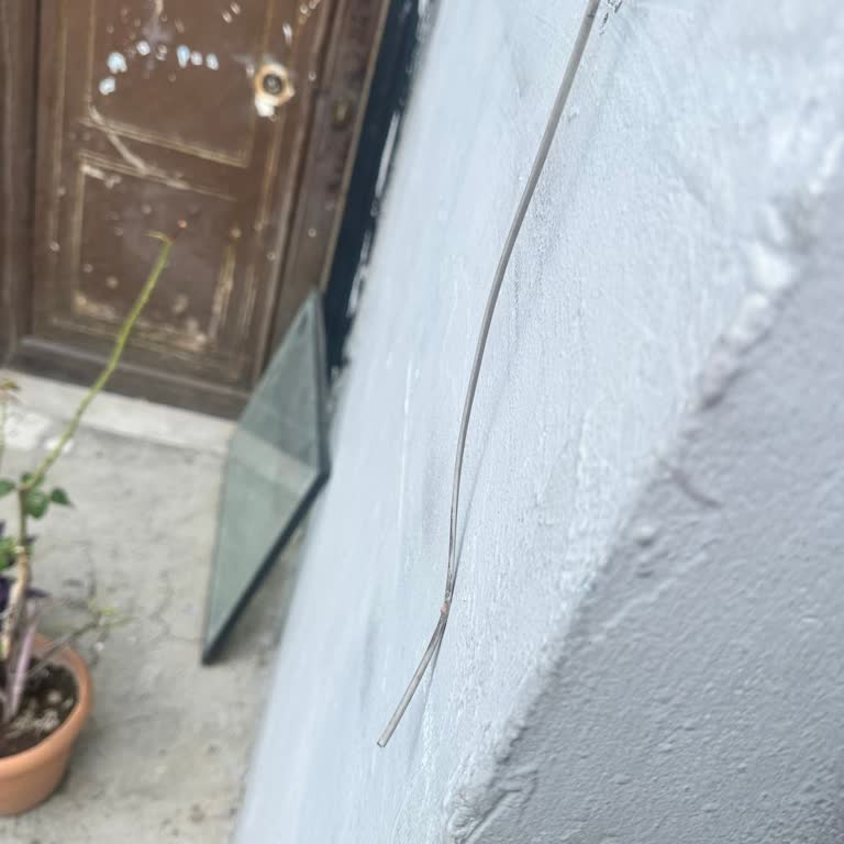 Ana Şebeke Kablosu Kopması Nedeniyle 4 Gün Süren İnternet Kesintisi Ve Müşteri Hizmetleri İhmali