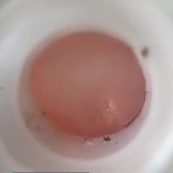 Dydo Drinco Link İçecekte Pislik Çıktı!