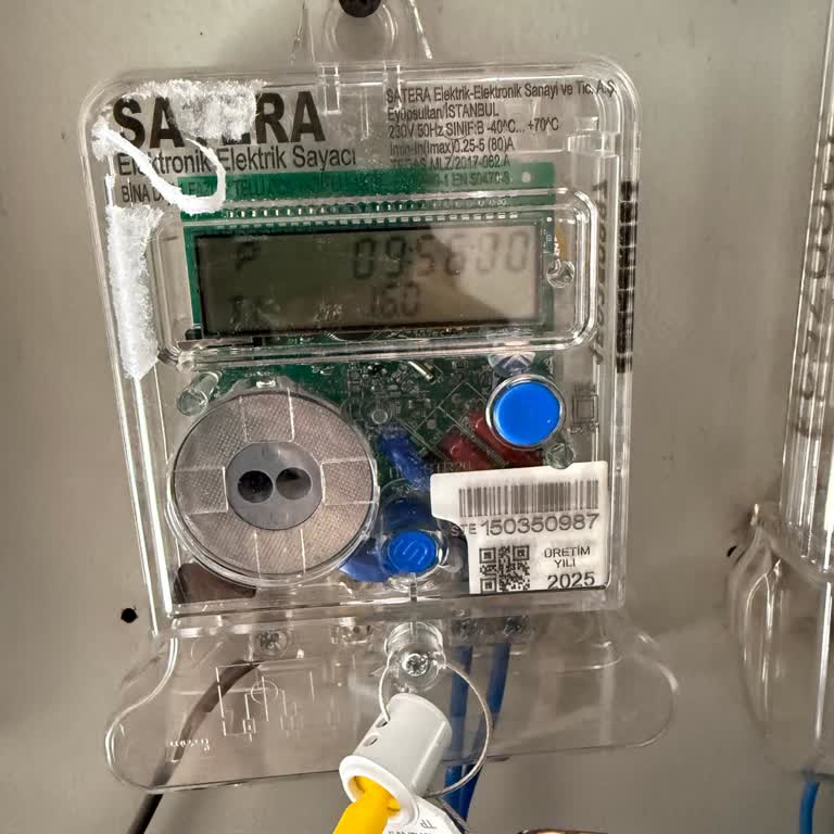 Boğaziçi Elektrik'te E-Devlet Üzerinden Yeni Abonelik Başvurusu Hatası