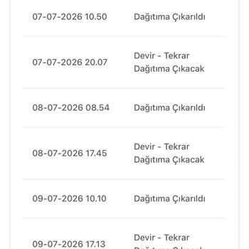 Kargo Hatası Nedeniyle Ürün Teslim Edilmedi Ve Tekrar Gönderilmesi Talebi