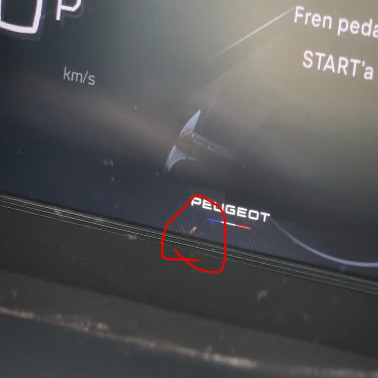 Gösterge Ekranında Sinek Görülen Peugeot 2008 GT İçin Acil Çözüm Talebi