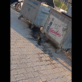 Davutlar’daki Boş Araziye Atılan Çöpler Sağlık Ve Çevreyi Tehdit Ediyor