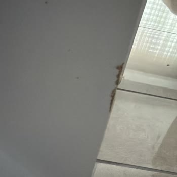 Koçtaş’ta Uzayan Hasarlı Ürün Değişim Ve İade Sürecinde Mağduriyet