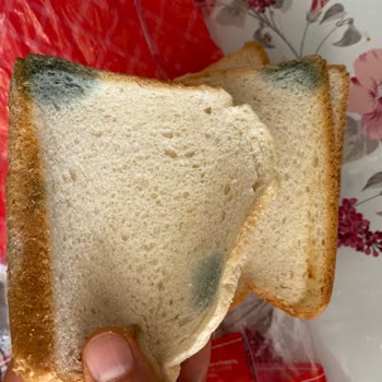 Küflü Tost Ekmeği Satışı Ve İade Talebi