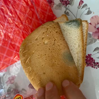 Küflü Tost Ekmeği Satışı Ve İade Talebi