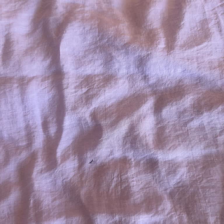 Yırtık Ve Etiketsiz Elbise Iade Kodu Gelmemesi Ve Kargo Ücreti Iadesi Talebi