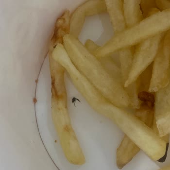 Popeyes Sancaktepe Kova Patateste Ölü Sivrisinek Bulundu
