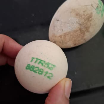 Tarım Kredi Market’ten Bozuk Yumurtalar Sağlık Endişesi Yaratıyor