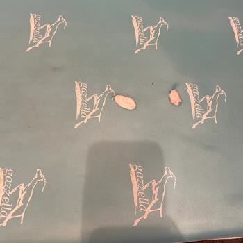 Ütü Masasında Delinen Örtü, Sıcak Su Sızıntısı Ve Paslanma Güvenlik Sorunu