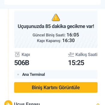Uçuş Gecikmesi Ve Belgesiz Bagaj Ücreti Nedeniyle İş Görüşmesine Geç Kalma
