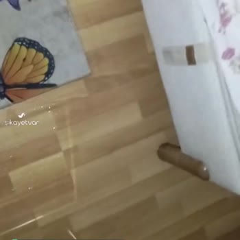 Türkiye Sigorta Konut Sigortası Mağduriyeti, Eksper Raporu Uzun Sürüyor