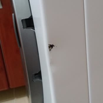 Servis Sonrası Kurutma Makinemde Oluşan Hasarlara Kabul Edemiyorum