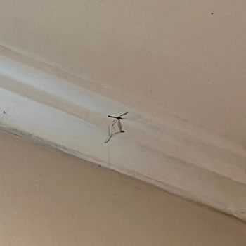 Tatilbudur Temizlik ve Yemek Kalitesindeki Sorunlar ve İlgisiz Temsilci