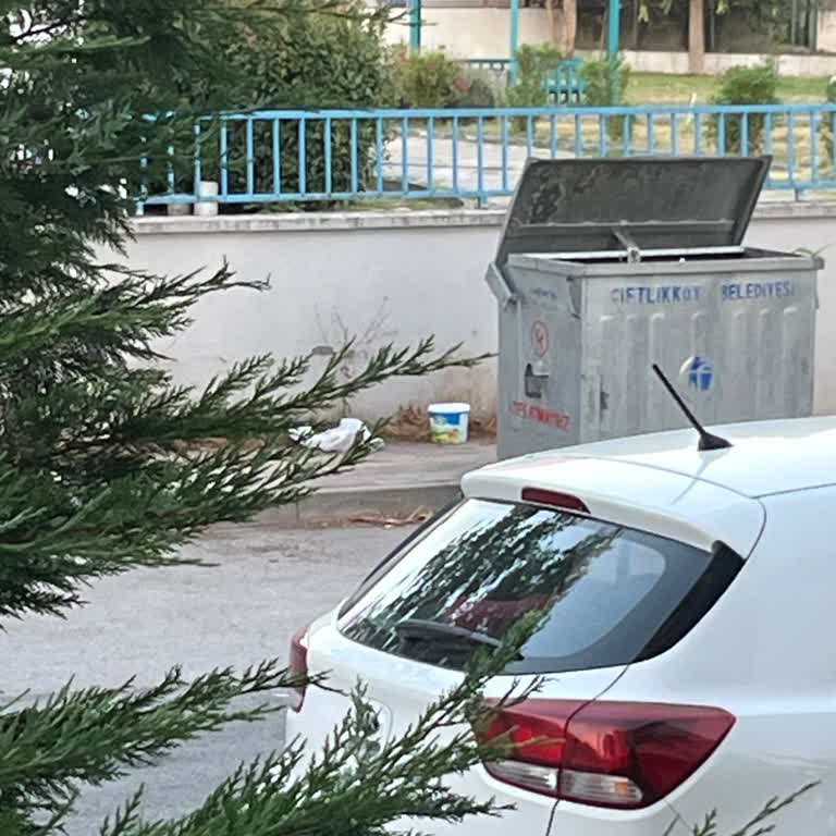 Çöp Konteyneri Çevresine Yemek Artıkları Bırakılması Nedeniyle Kötü Koku Ve Haşere Sorunu