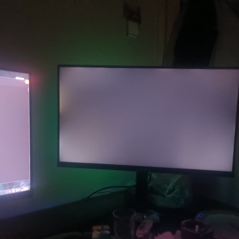 Rampage Monitöründe Işık Sızması Ve Servisin Arızayı Reddetmesi