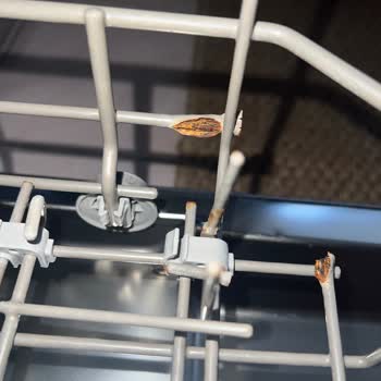 Samsung Bulaşık Makinesi Sepetlerinde Küf Ve Plastik Soyulması Ücretsiz Değişim Talebi