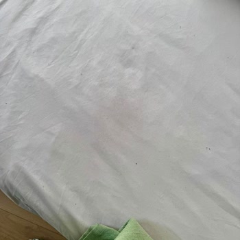 Kirli Ve Böcekli Konaklama İçin Tam İade Talebi