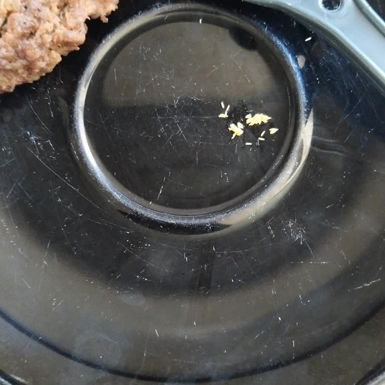 Dana Kıymada Larva Kontaminasyonu Ve Cevapsız Müşteri Desteği