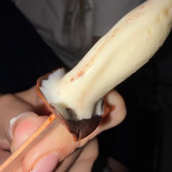 Magnum Dondurmasında Kıl Görüldü Hijyen Şikayeti Ve İade Talebi