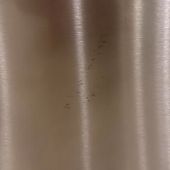 Bosch Buzdolabı Kapak Paslanması Garanti Kapsamında Değerlendirilmelidir
