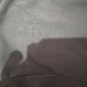 Ayıplı Belisa Fileto Ürününün Tüylenmesi Ve Fatura Kesilmemesi Nedeniyle İade Talebi