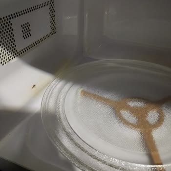 Mikrodalga Fırın İçindeki Sararma Ve Servis Yanıtı Gelmemesi