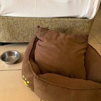 Labranda Alantur Resort’ta Pet Ücretine Karşı Kalitesiz Hizmet Ve Sınırlı Erişim